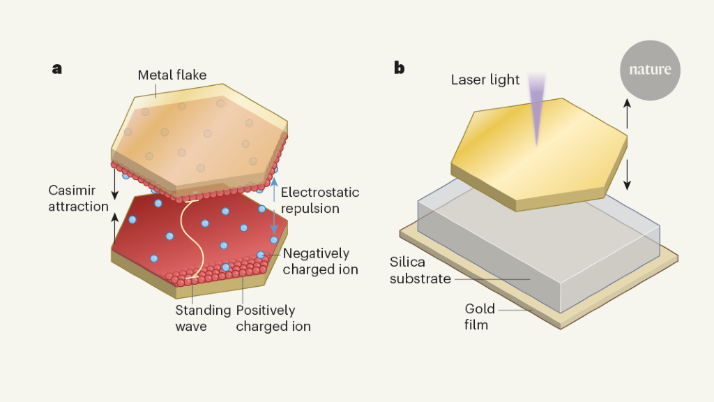 Hybrid Lightmatter States Formed In Self Assembling Cavities