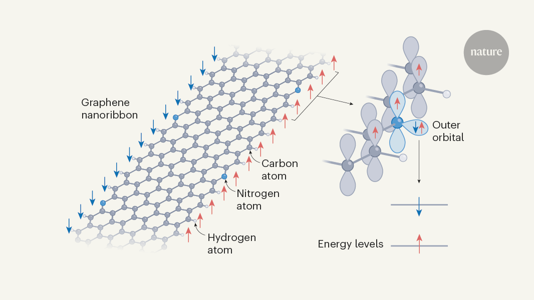 Clever Substitutions Reveal Magnetism In Zigzag Graphene Nanoribbons