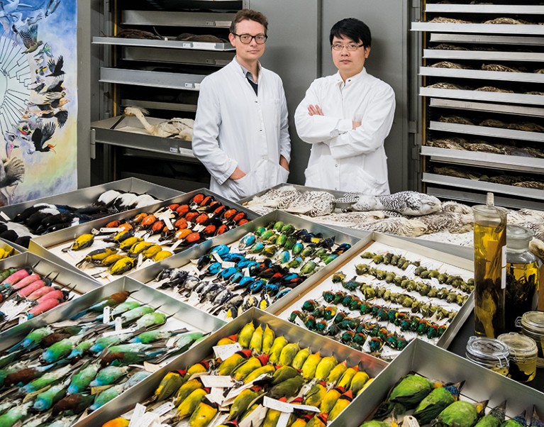 Tom Gilbert and Zhang Guojie stand behind a large array of preserved bird specimens