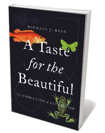 Book jacket - 'A Taste for the Beautiful'