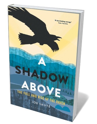 Book jacket - Shadow Above