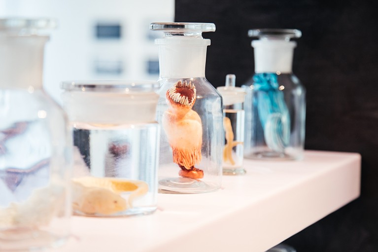 Series of real specimens and fictional artworks displayed in different sized jars.