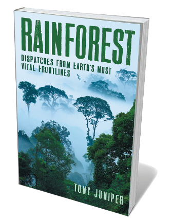Book jacket for Rainforest