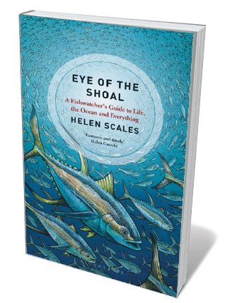 Book jacket 'Eye of the Shoal'