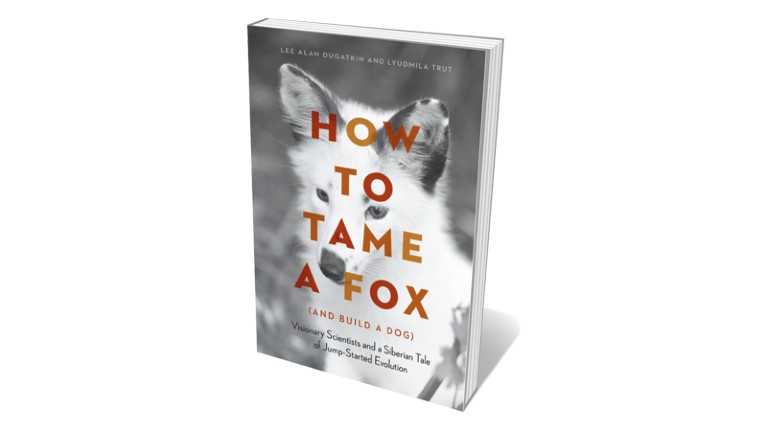 Books jacket 'How to Tame a Fox'
