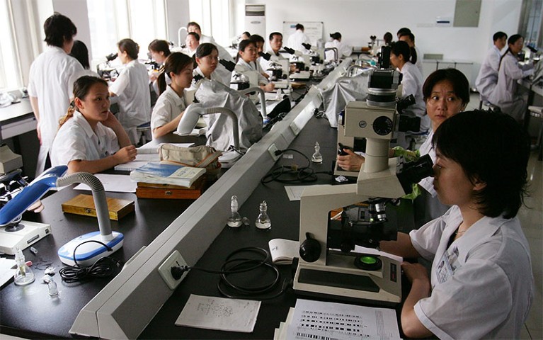 Chinese researchers sit at a bench working