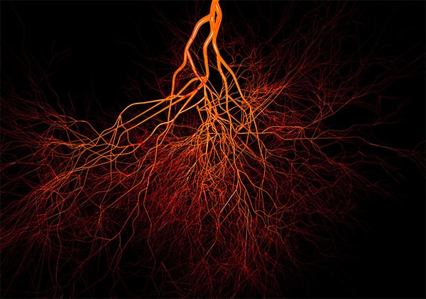 Artists illustration of blood vessels