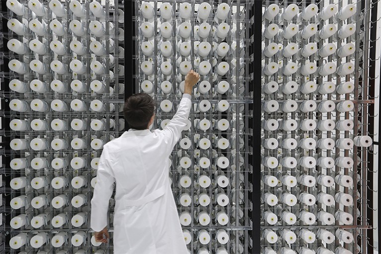 Person in white lab coat stands in front of rows of plastic tubes.