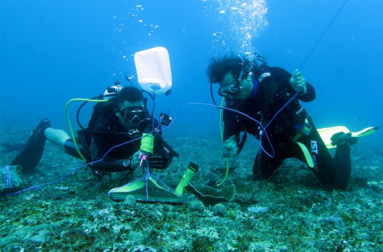 Scientists in scuba gear place a low cost short term hydrophone on the seabed before Nyepi - Bali's day of silence.