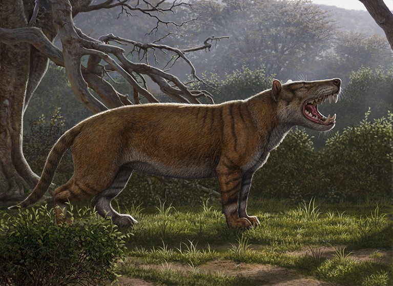 Illustration of Simbakubwa kutokaafrika who had three rows of meat-shearing teeth and was larger than a polar bear.