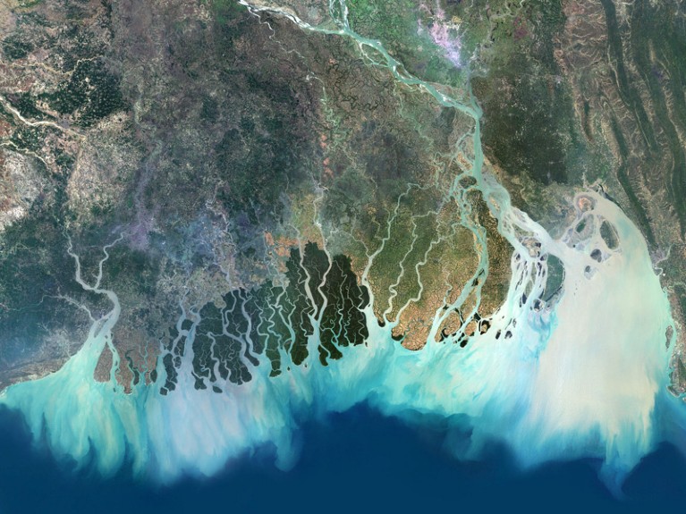 Satellite image of the Ganges River Delta, Bangladesh, India.