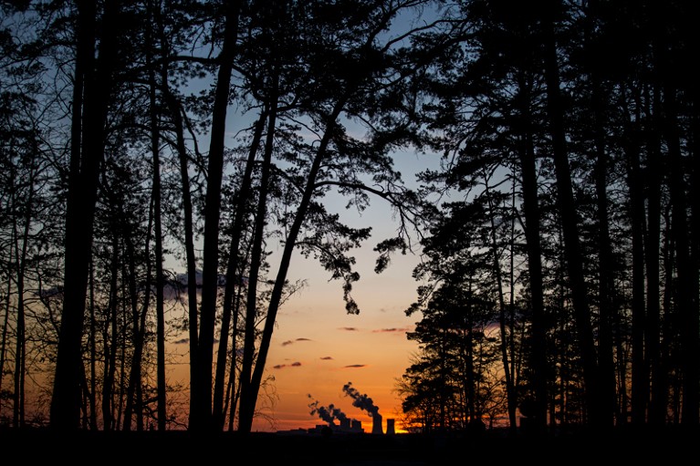 Chimneys of a coal fired power plant emitting gas can be seen through a gap in some trees silhouetted against a sunset