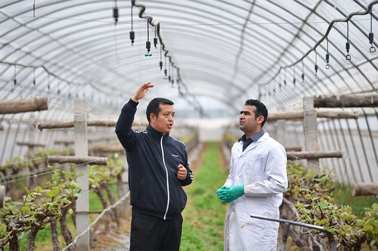 Abdul Ghaffar Shar talks to Li Haiping at a cooperative of Yangling agricultural hi-tech industrial demonstration zone