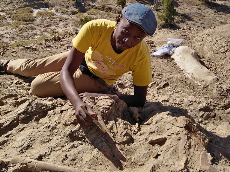 Khalafallah Salih excavating dinosaur bones from Kaiparowits Formation, Utah.