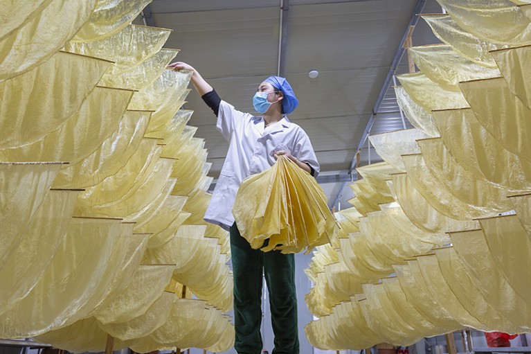 A person stands amongst bean curd skins at a processing plant