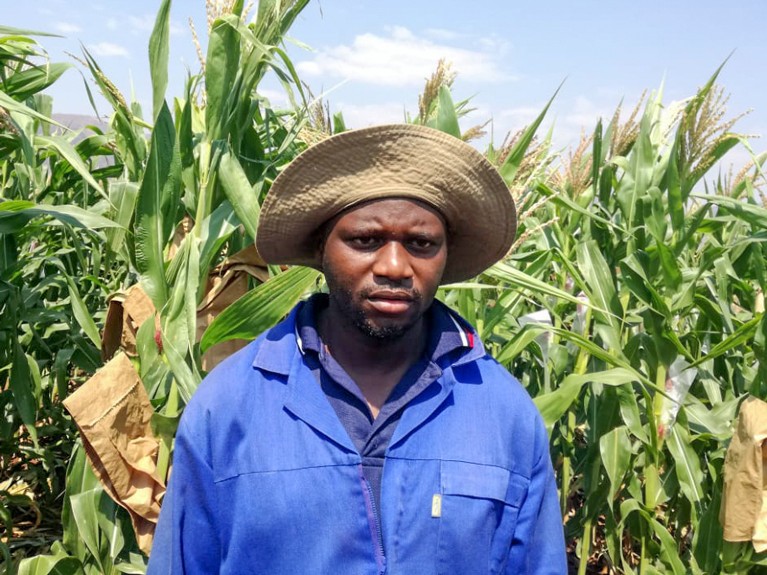 Prince Matova wearing blue overalls and a light brown hat, standing in front of maize plants.