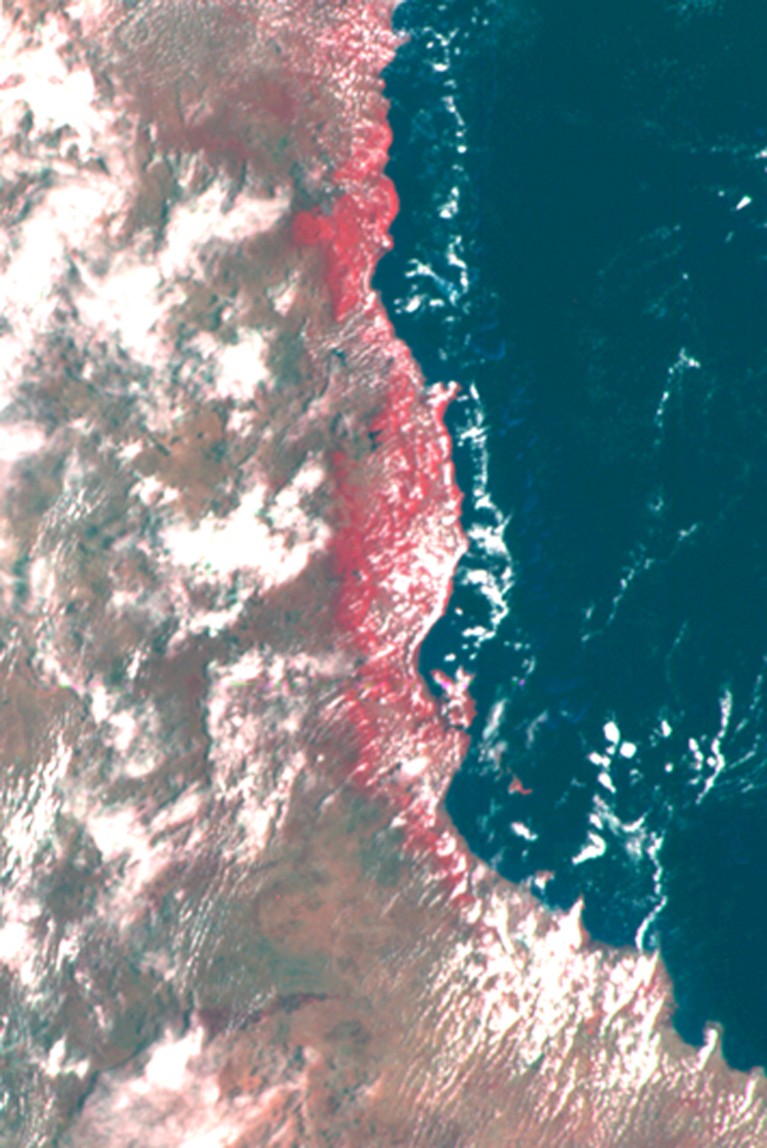 This false color image of the Eastern Coast of Australia was obtained by the Galileo spacecraft, 1990.