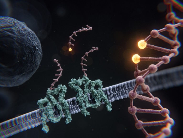 Artists impression of RESI showing DNA strands attached to proteins in cell membrane and DNA with two adjacent bases highlighted