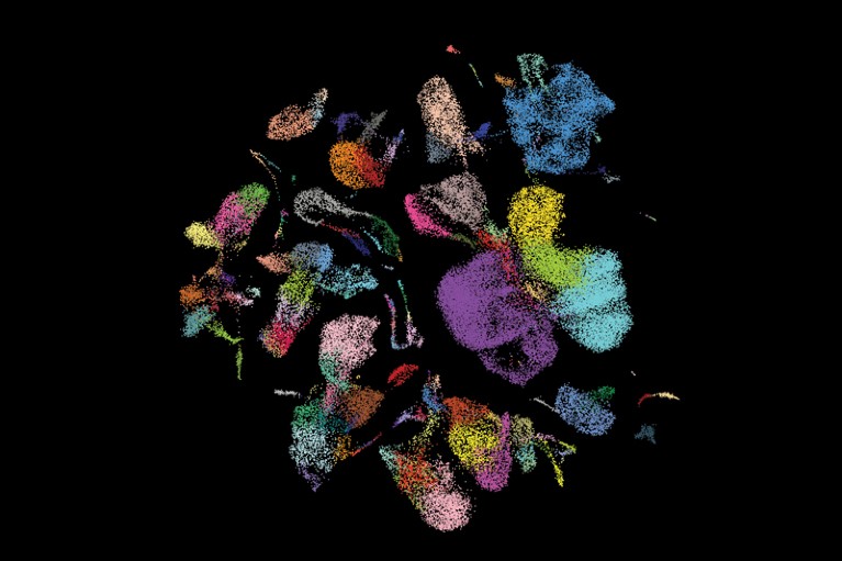 2D UMAP representation of different cells in the human lung coloured by cell state
