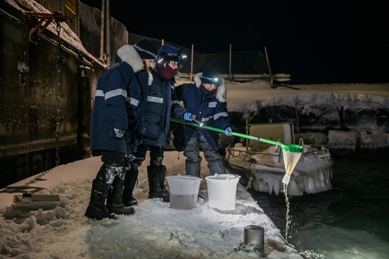 (L-R): Annkathrin Dischereit, Charlotte Havermans and Ayla Murray, researchers at the Alfred Wegener Institute, observe a jellyfish caught in the harbor of Ny-Ålesund, Svalbard.
