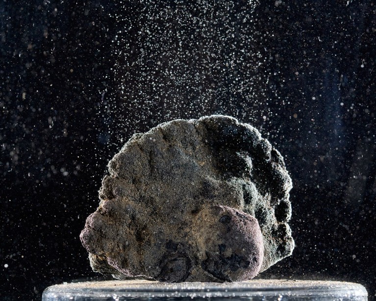Close up view of a single polymetallic nodule outgassing air in water.