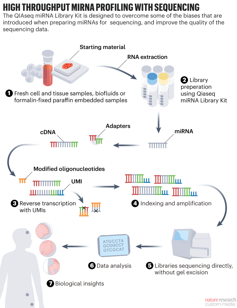 Mirna Sequencing For Biomarker Discovery Mitigating Bias