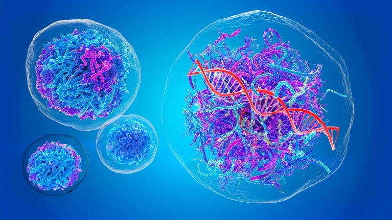 Transparent spheres with nuclei consisting of string-shapes of blue, purple and pink. The largest sphere contains a red DNA double helix.