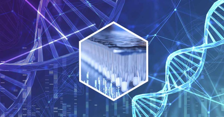 Graphic of lyo-ready enzymes for molecular diagnostics