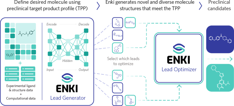 Graphic showing Enki’s drug discovery workflow