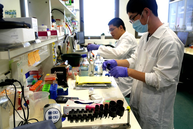 Two postdoctoral researchers working in a labortaory