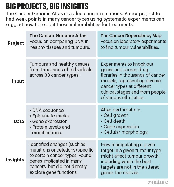 Big projects, big insights. A comparison between The Cancer Genome Atlas and The Cancer Dependency Map.