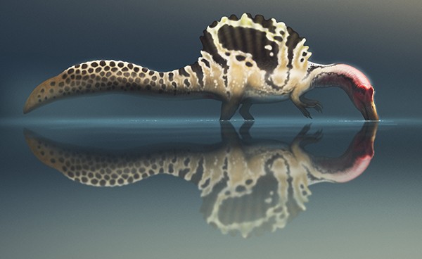 Life reconstruction of a Spinosaurus wading in the water and fishing.