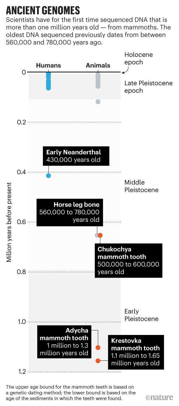 Ancient genomes: Timeline showing the ages of the oldest human and animal DNA that has been sequenced.