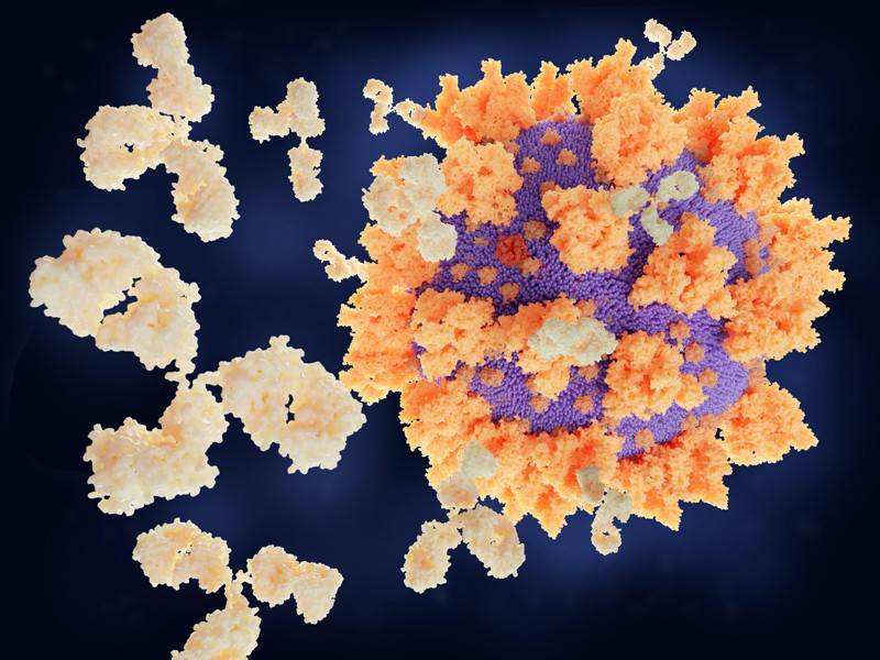 3D Illustration of Y-shaped antibodies and a SARS-CoV-2 virus particle.