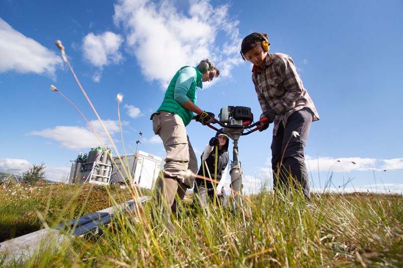 Three researchers operate a core sampling drill in a green grassy area on a sunny day