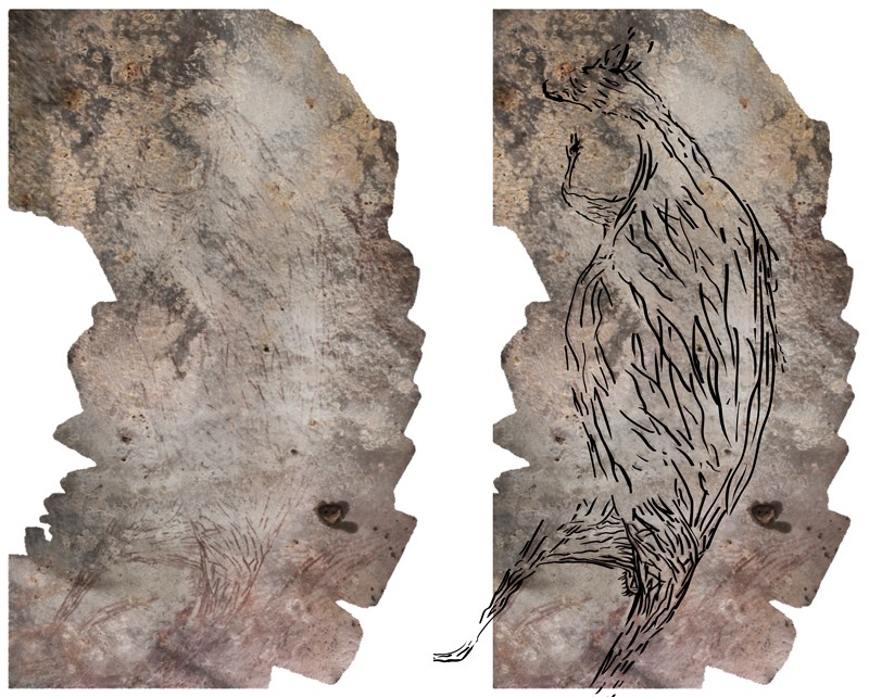 Left: a faint ancient cave drawing of a kangaroo-like animal, Right: the same image with drawing lines highlighted
