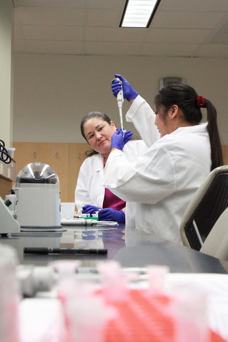 Participants in the Summer Internship for Indigenous Peoples in Genomics work together in a lab