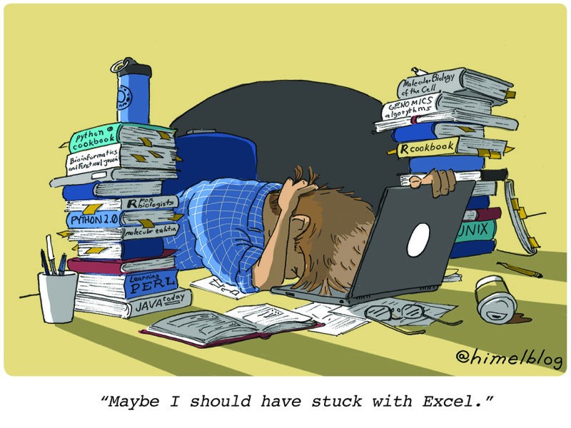 Cartoon: Person bangs head on desk strewn with coding books and a laptop. Caption: 