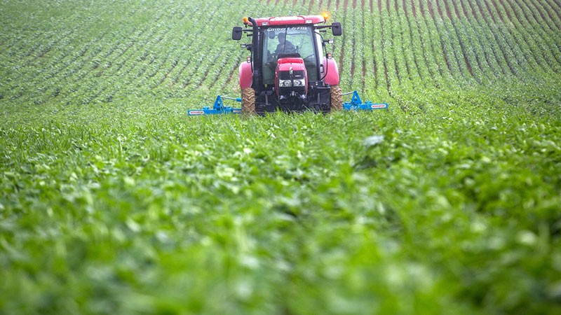 A farmer drives a tractor across a soya field belonging to Frederic Castex in Peguilhan, South of France.