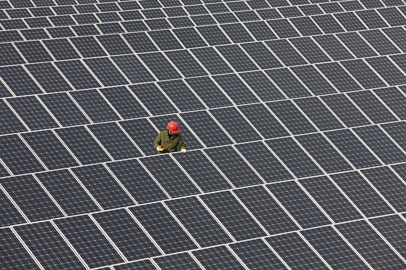A figure in a hard hat and high visibility gear examines a solar panel in the centre of a large solar array