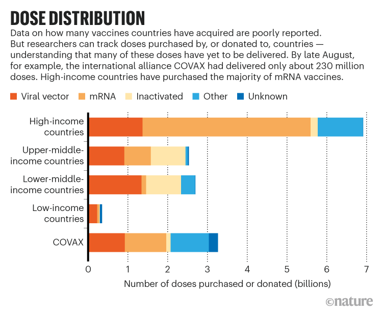 DOSE DISTRIBUTION. Chart showing the distribution of COVID vaccines.