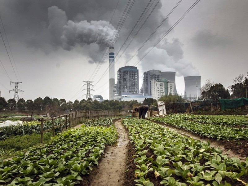 A man tends to vegetables in a field as emissions rise from nearby cooling towers of a coal-fired power station, China.