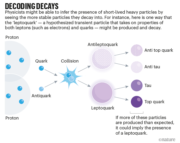 Decoding decays: graphic that shows a possible decay pathway for leptoquarks, and how this particle might be detected.