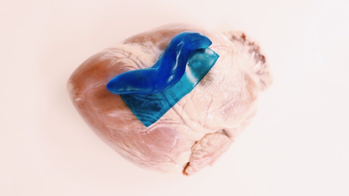 A sealant inspired by slug mucus successfully patched a hole in a beating pig’s heart.