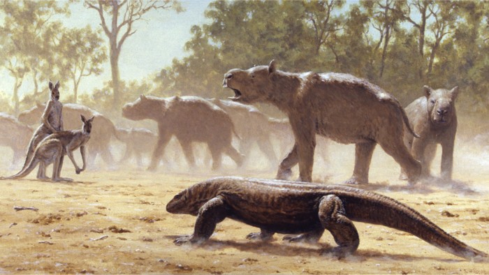 Diprotodon optatum is the largest marsupial known to have existed.