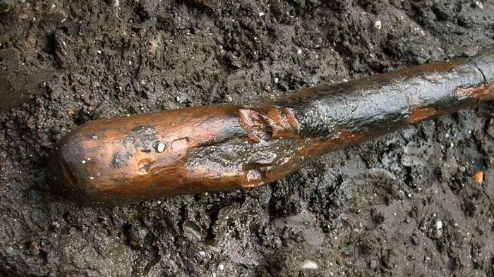 This rounded knob is the handle of a Neanderthal digging stick made with the aid of fire.
