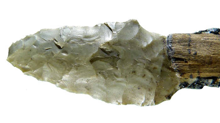 A stone arrowhead found with the ice mummy Ötzi has a broken tip and other signs of wear. Credit: U. Wierer et al./PLoS ONE