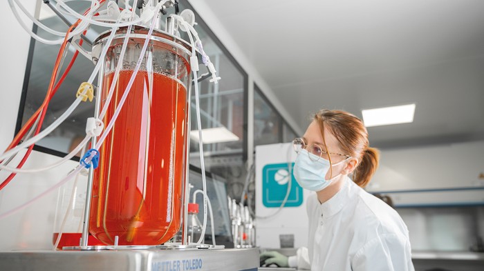 A masked researcher looks a glassware filled with cell culture in a lab