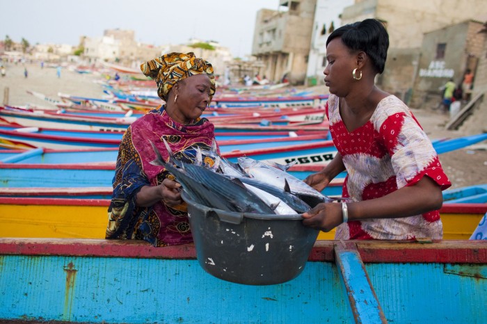 Senegalese women handle a bucket of fish amongst a row of colourful boats