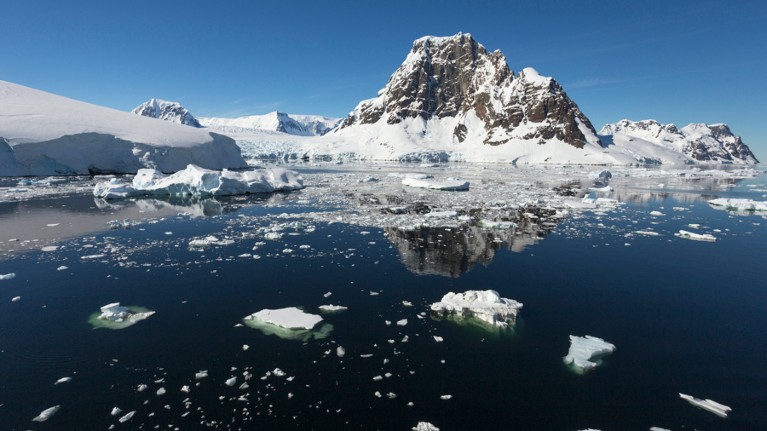 Sea-ice loss around Antartica reached record levels last year.